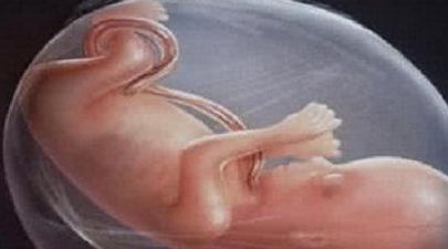孕妇怀孕多久容易发生胎儿畸形,过了高发期就可以松口气了