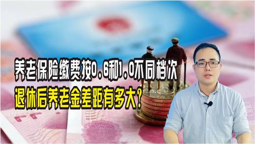 养老金和养老保险是一回事吗 养老金和养老保险的区别