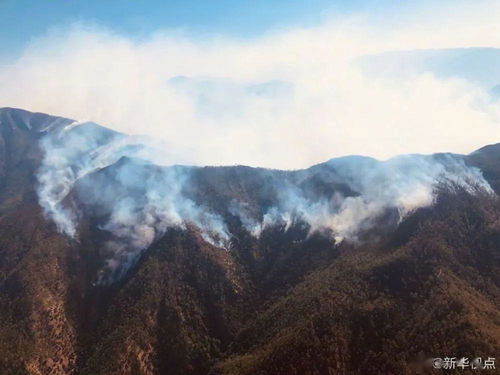 痛心 凉山山火,19位扑火队员牺牲