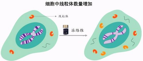 长寿生意 崛起 资本抢滩登陆,或将诞生下一 超级印钞机