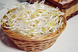银芽是什么菜,生日时吃豆芽有什么含义？