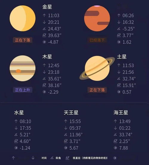 12月二十三是什么星座,12月23日是什么星座