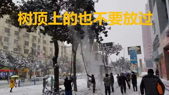 青春关注 一回生,二回熟 信阳人佛系淡定看雪 