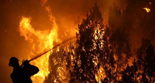 平安夜悲剧 智利森林大火烧毁上百所房屋,造成9万居民断电