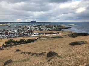 探秘济州岛的洞窟 咖啡店 韩国自由行 济州岛旅游 韩国旅游 美食 黑猪肉