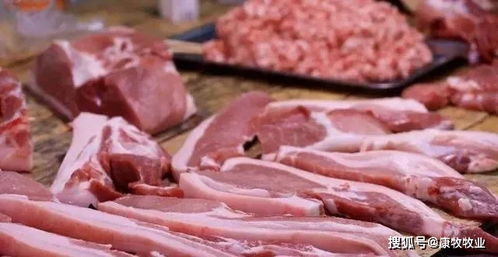 6月猪肉价格再破25元 猪价上涨为什么这么快 你哪里多少钱一斤