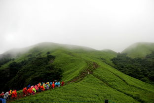 武功山小雨转阴建议去吗(武功山下雨还能去了吗)