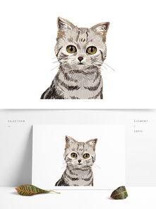 手绘逼真的条纹小猫咪设计元素图片素材 PSB格式 下载 其他大全 