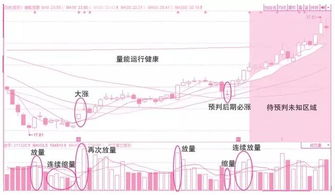 下跌时没量咋解释