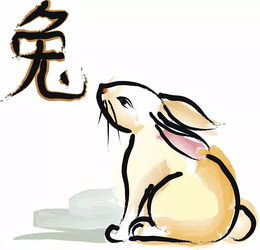 2023李居明生肖兔运势,属兔的生肖人，将来的事业财运？