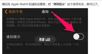 苹果手表怎么取消红点提醒如何在AppleWatch上一次清除所有通知