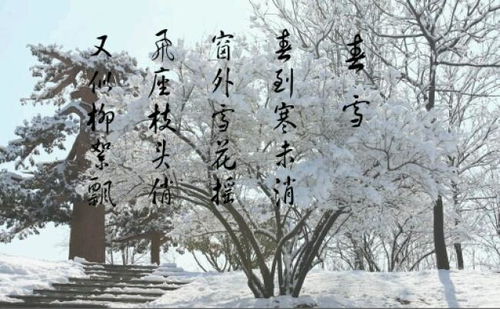 有关春雪的句子唯美短句