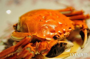 英国巨蟹再次现身上演恐怖片 解析健康吃蟹七个不要 