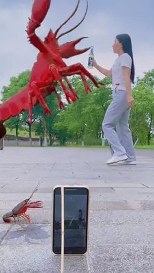 手机特效 请问 世界上最大的虾是什么虾,评论区告诉我呗 