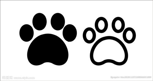 动物脚印 猫脚印图片 