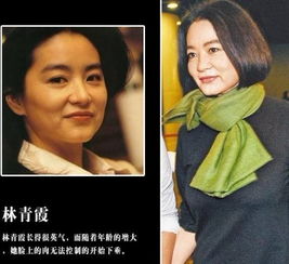 巩俐林青霞张曼玉 揭女星不老神话真实面容 