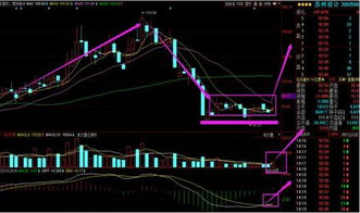 股票出现DX后就大幅下降，请问DX是什么意思