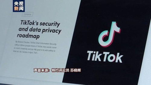 TikTok广告管理平台帐户被停用是什么原因_tiktok企业广告账号开户