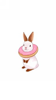 情侣 甜甜圈 兔