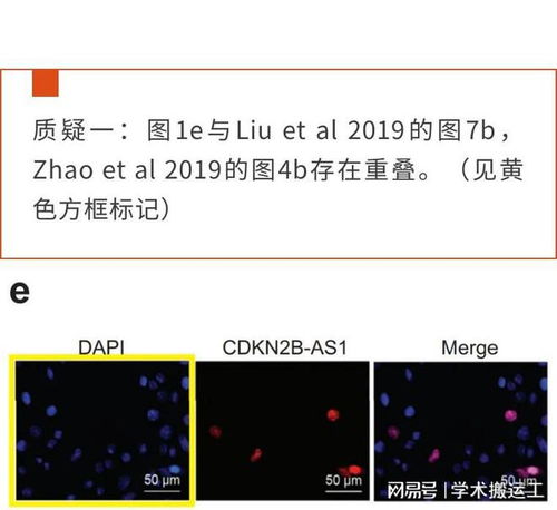 免费查重软件推荐，让你的论文-文章更出色