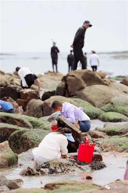 走 赶海去 奉上日照赶海胜地