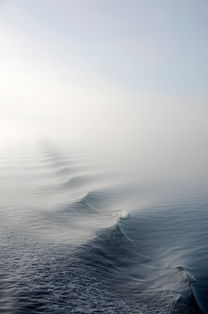 微波荡漾的海面图片 第12张