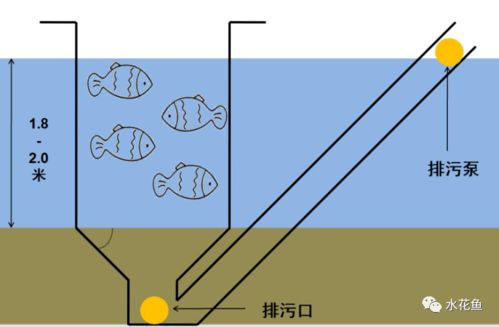 说一下工厂化养鱼和循环水养殖 一哄而上,一搞就垮 的浅见 循环水养鱼 箱式养鱼 桶式养鱼 帆布养鱼