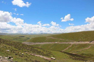 暑假带娃自驾去旅行。去西藏好还是新疆好。哪个更合适(新疆自驾游和西藏自驾游那个比较好)