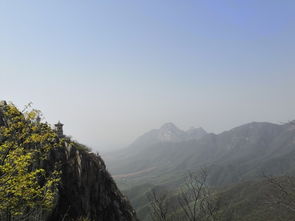 我从小一直有个梦,想去嵩山少林学武功