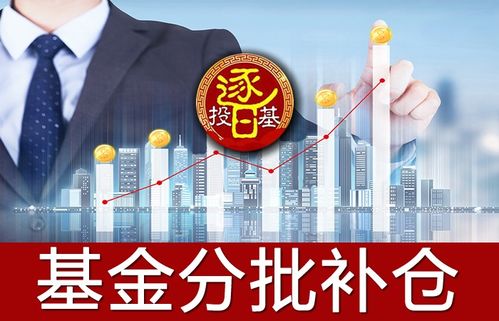 怎样买支好基金？