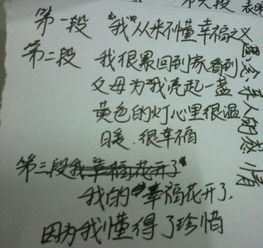 最大的幸福作文600字