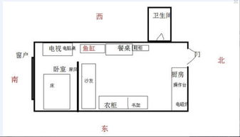 小户型房屋鱼缸摆放的位置,懂风水的来看看 谢谢 