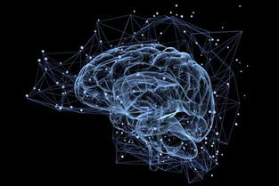 科学家用AI开发 读心术 已能重构大脑中的文字