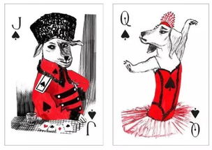不用找人了,狗狗也能跟你玩扑克