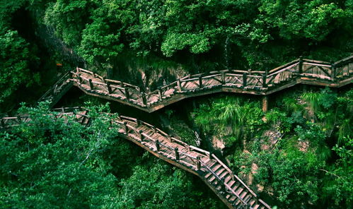 衢州市衢江区免费的停车场,衢州药王山怎么去衢州药王山在哪