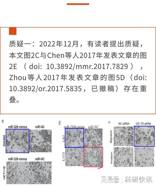 揭秘二高论文查重高的原因及应对策略