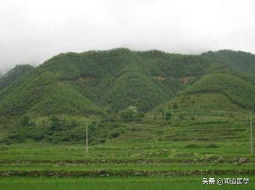 闻道国学 望气寻龙四种观点