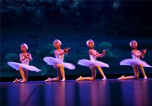 芭蕾公主舞蹈学校加盟 加盟费 招商代理条件 加盟电话 中教招商网 