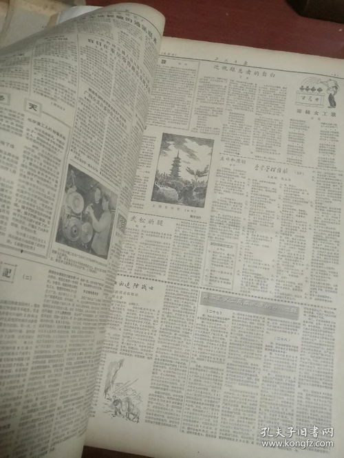 1981年11月16日子时男人命运