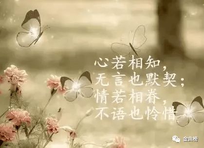 精彩小视频励志音乐文案  执着歌曲的文案？