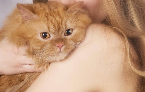 心理学家为你揭秘养猫究竟会带给你怎样的心理变化