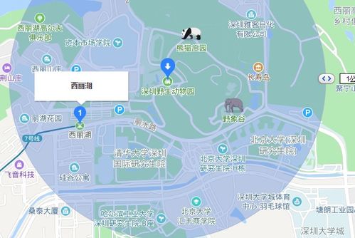 深圳野生动物园暑假游玩攻略 开放时间 门票 夜场看点 