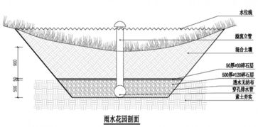 快来看 听说这个公园会 吸水 ,怎能不去瞧瞧