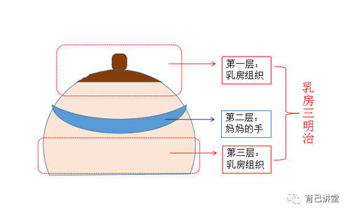 浆乳破溃后应做什么紧急处理方法(浆乳破了一个小口脓完全出不来怎么办)