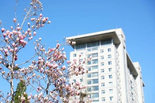 中国民航大学的交通运输与飞行器动力工程哪个好~~~急！！！