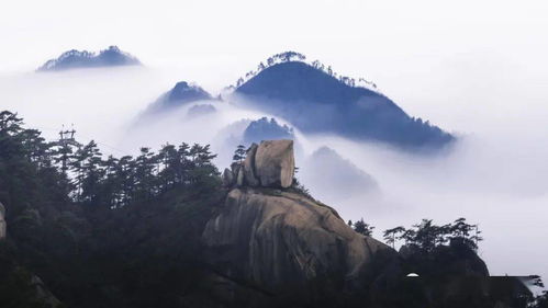 看了一年的九华山,才发现最美的风景是在