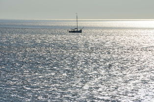 船,船舶,湖,海,天空,海洋,水,海岸,夕阳 