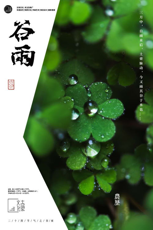 谷雨节气的特点和风俗