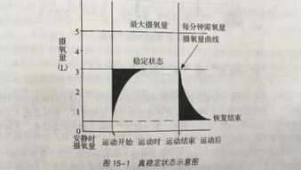 教师资格笔试体育学科知识 运动过程中人体机能状态变化规律