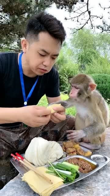 爱吃肉的猴子,非常特别 